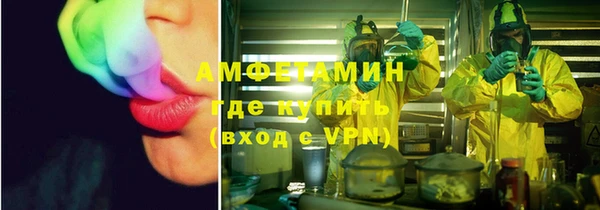 сатива Куйбышев