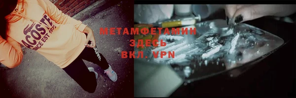 сатива Куйбышев