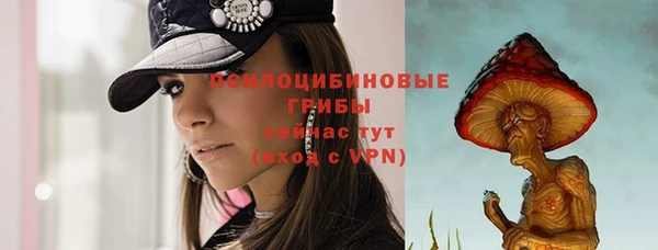 сатива Куйбышев