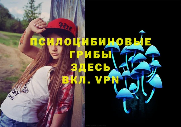 амф Кулебаки
