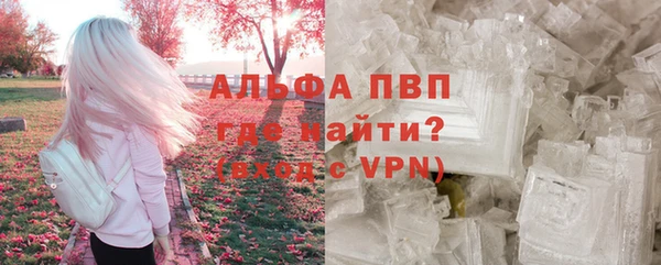 сатива Куйбышев