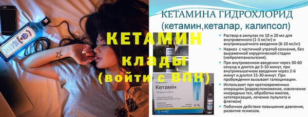 сатива Куйбышев