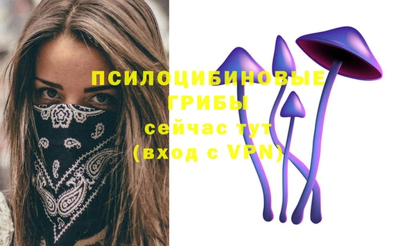 сатива Куйбышев