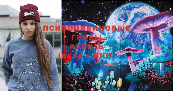 амф Кулебаки
