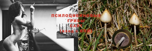бутират Кукмор
