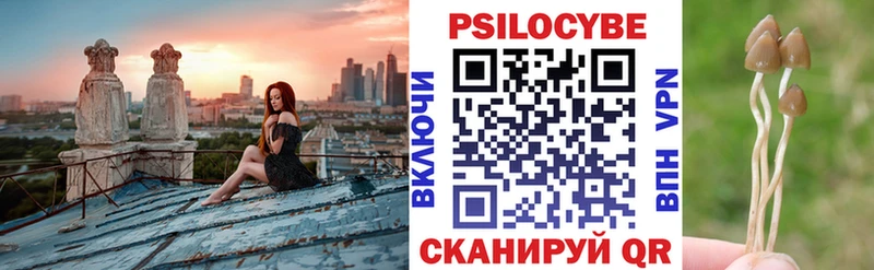 Купить где  Сатка  Псилоцибиновые грибы мухоморы 